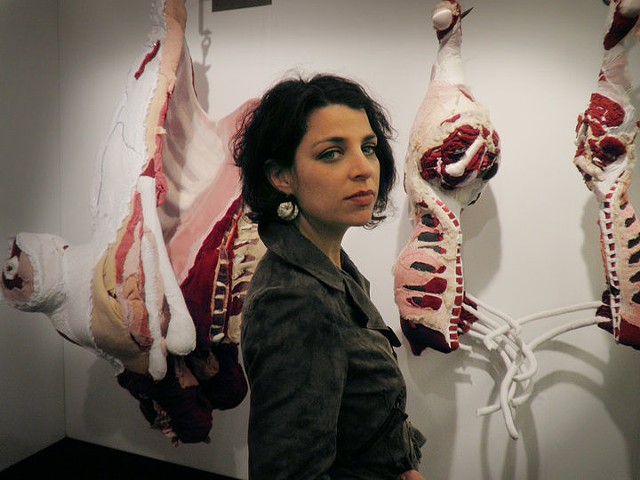 Daging segar dari kain bekas © 2016 ufunk