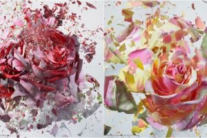 10 Foto bunga beku ini siap pukau matamu, memesona deh