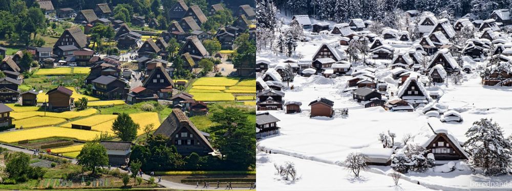 sebelum dan sesudah musim salju © 2016 boredpanda.com