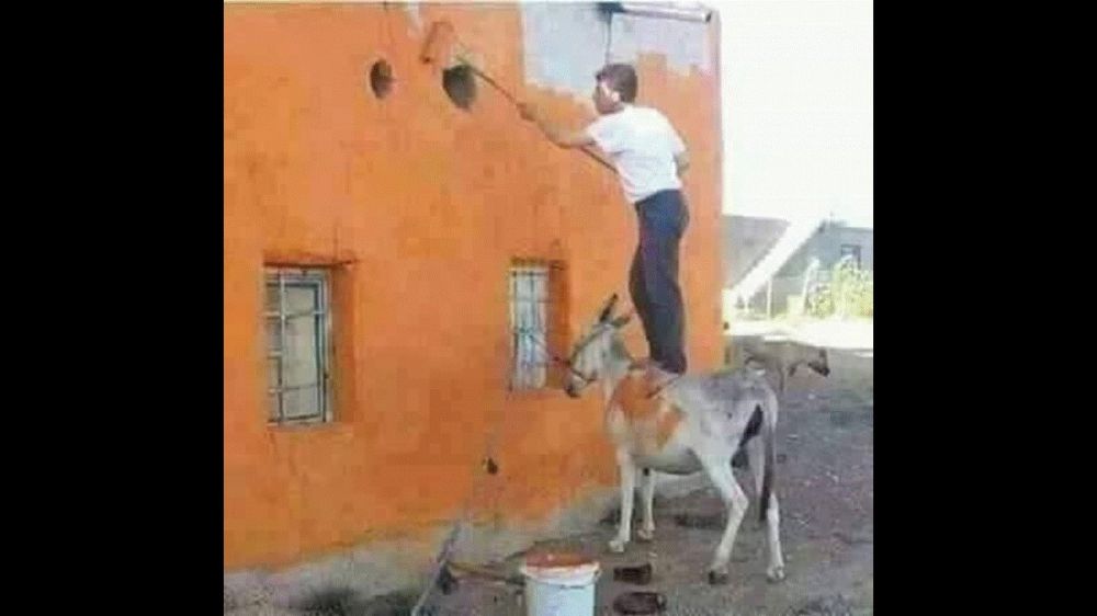 Ngakak 25 © 2016 brilio.net Ngakak 25 © 2016 brilio.net