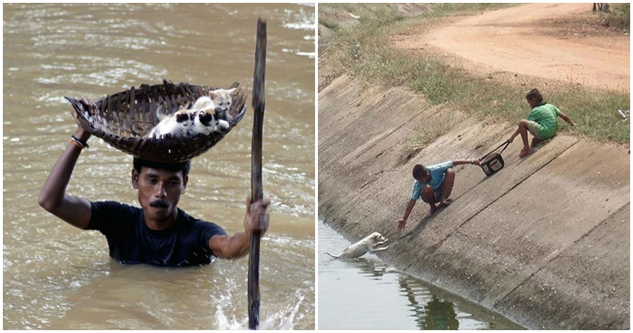 12 Momen penyelamatan hewan ini bakal gugah kepedulianmu 
