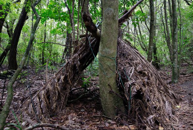 acara hunger games sungguhan ada di rusia © 2016 metro.co.uk acara hunger games sungguhan ada di rusia © 2016 metro.co.uk