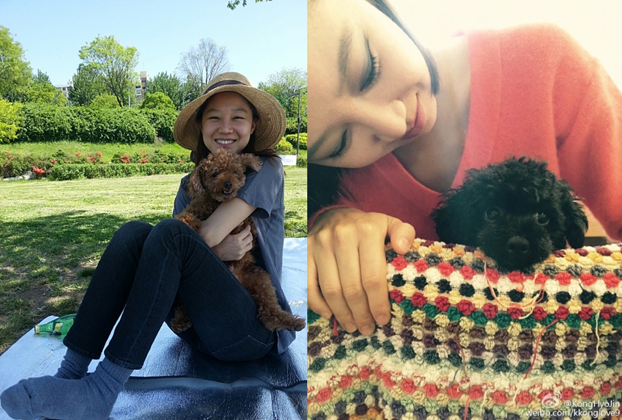 seleb kpop pet © 2016 brilio.net  seleb kpop pet © 2016 brilio.net