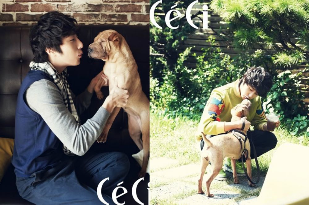 seleb kpop pet © 2016 brilio.net  seleb kpop pet © 2016 brilio.net