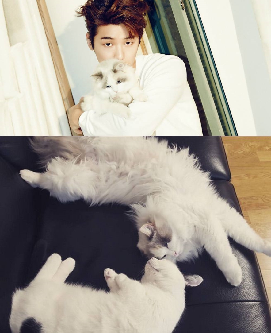 seleb kpop pet © 2016 brilio.net  seleb kpop pet © 2016 brilio.net