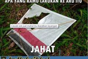 5 Meme 'cewek ibarat layangan' ini ingatkan cintamu yang tarik ulur