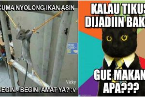 10 Meme seputar tikus ini lucunya bikin malu sama kucing