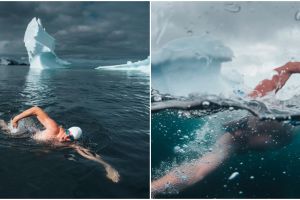 Kampanye selamatkan lingkungan, atlet ini berenang di Antartika