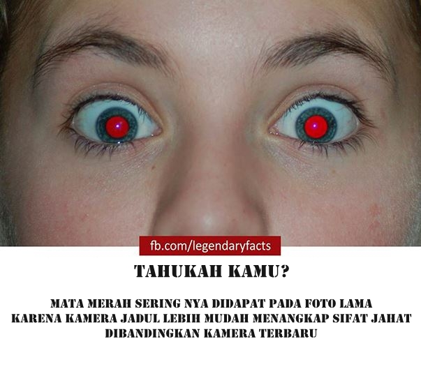 Fakta Ngawur 14 © 2016 facebook.com/legendaryfact