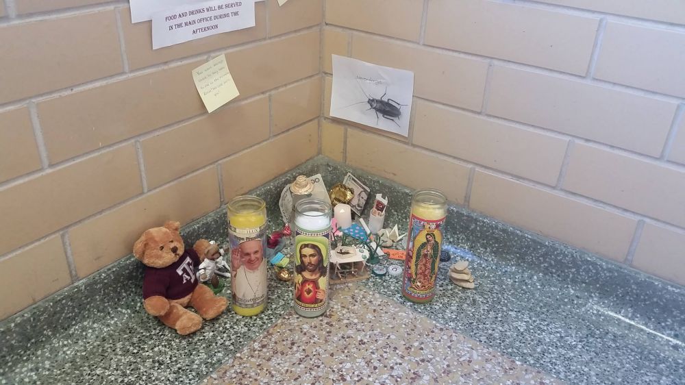 kelakuan orang perlakukan kecoak mati  © 2016 Facebook/LatinPost kelakuan orang perlakukan kecoak mati  © 2016 Facebook/LatinPost