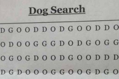 Dalam 3 jam, hanya satu orang bisa temukan 'DOG' di teka-teki ini