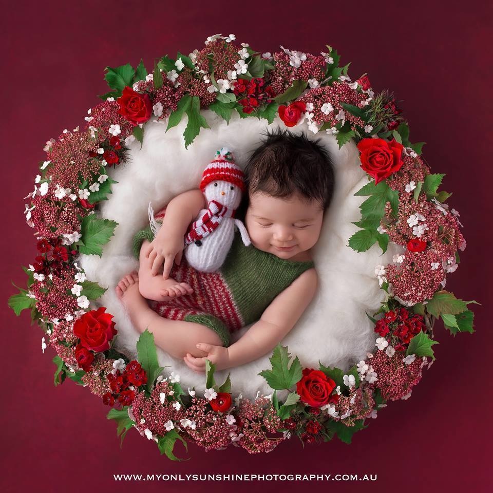 bayi berkostum Natal © 2016 lifebuzz.com bayi berkostum Natal © 2016 lifebuzz.com
