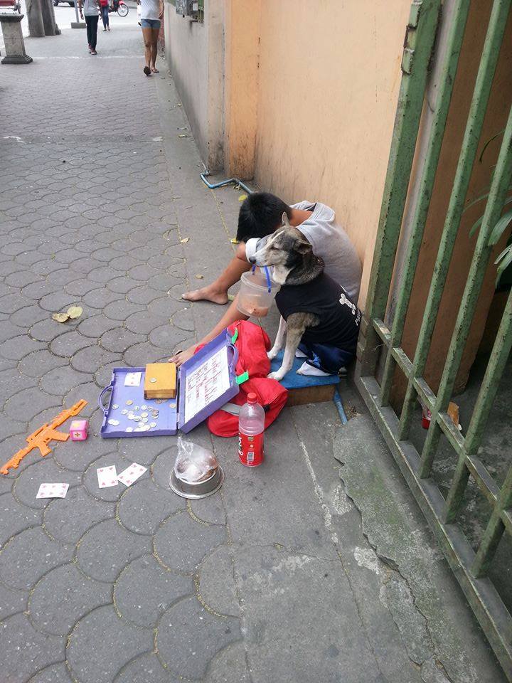 anjing setia © 2016 brilio.net