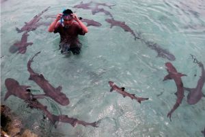 Nggak perlu khawatir cuaca buruk, traveling ke Karimunjawa tetap jalan