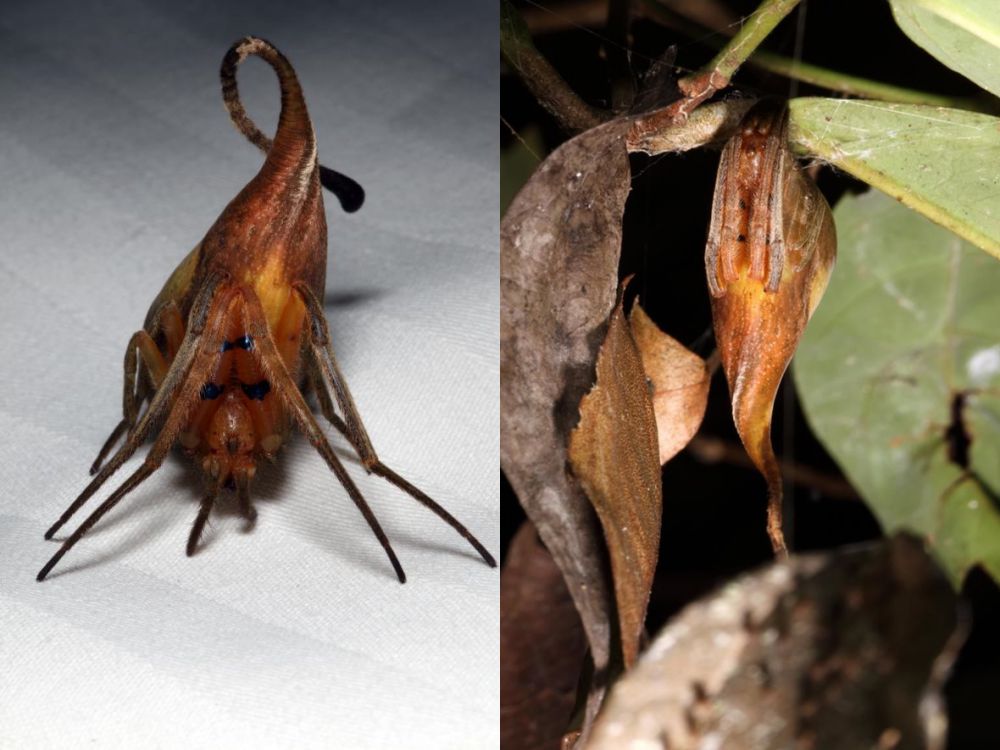 hewan 2016 © 2016 brilio.net hewan 2016 © 2016 brilio.net