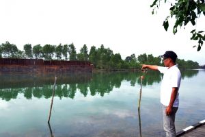Duh, limbah batubara bikin usaha keramba ikan di Kutai gulung tikar