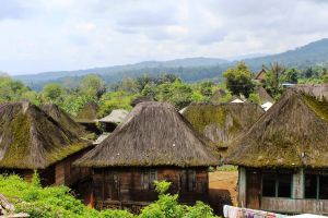 Pesona Sibanggor Julu, desa tertua di kaki Gunung Sorik Marapi
