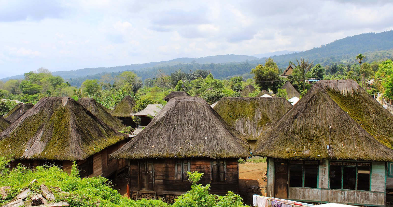 Pesona Sibanggor Julu, desa tertua di kaki Gunung Sorik Marapi