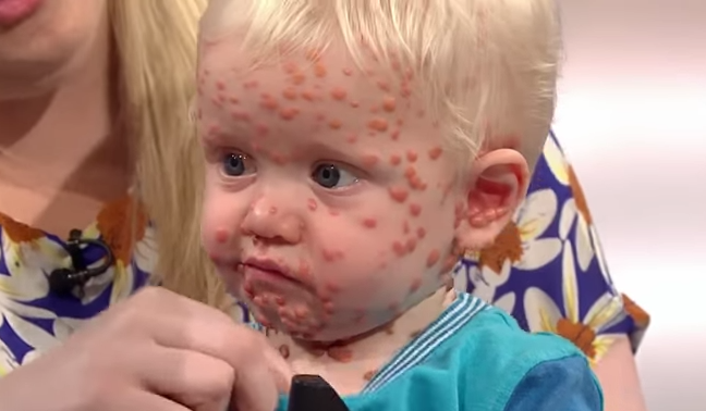 Bayi Dalmantian © 2016 istimewa