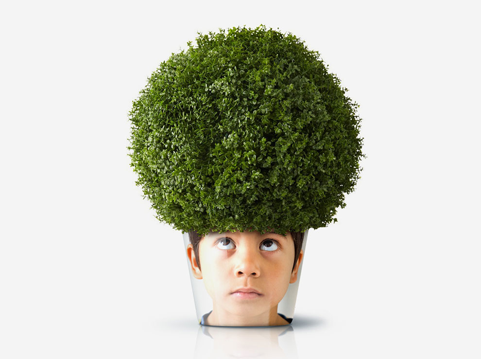 rumah facepot © 2016 brilio.net