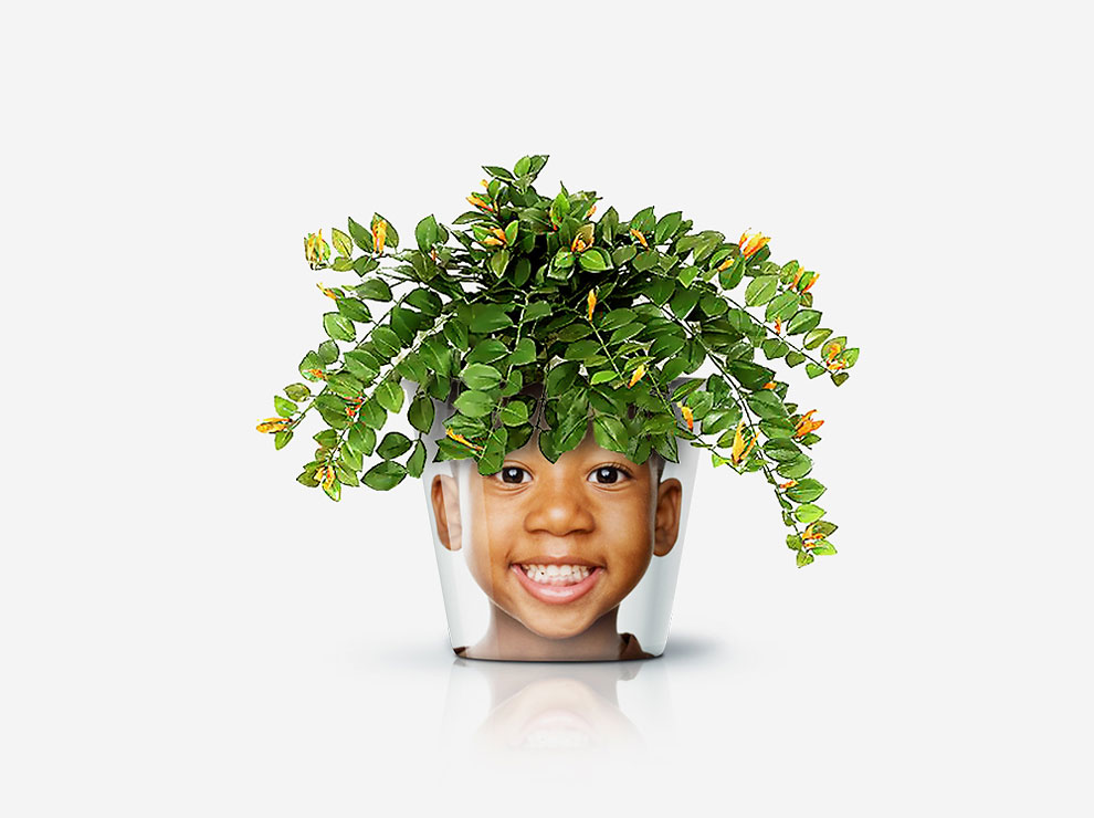 rumah facepot © 2016 brilio.net