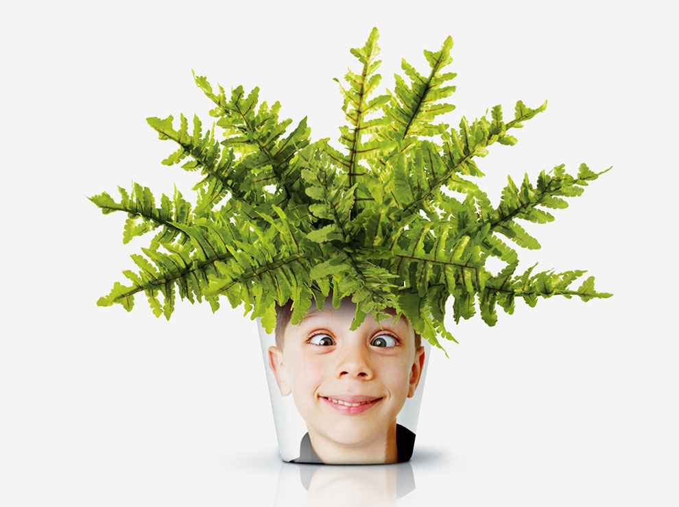 Tren 'facepot' bikin tanaman di rumahmu makin 'hidup'