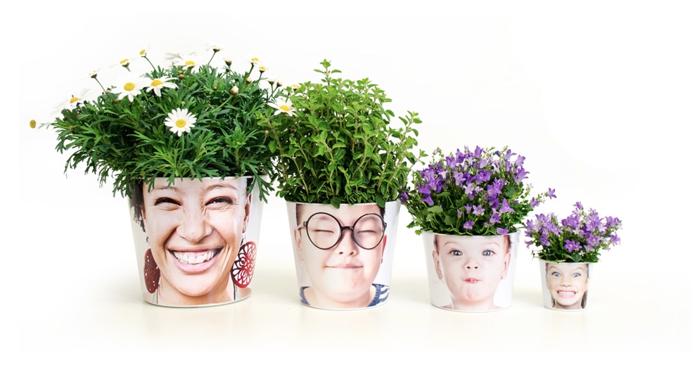 rumah facepot © 2016 brilio.net