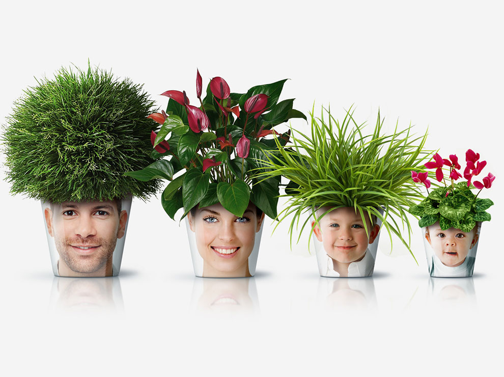Tren 'facepot' bikin tanaman di rumahmu makin 'hidup'