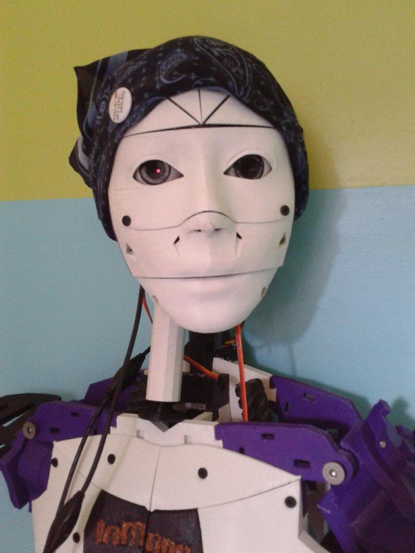 wanita ini pilih nikahi robot © 2016 odditycentral
