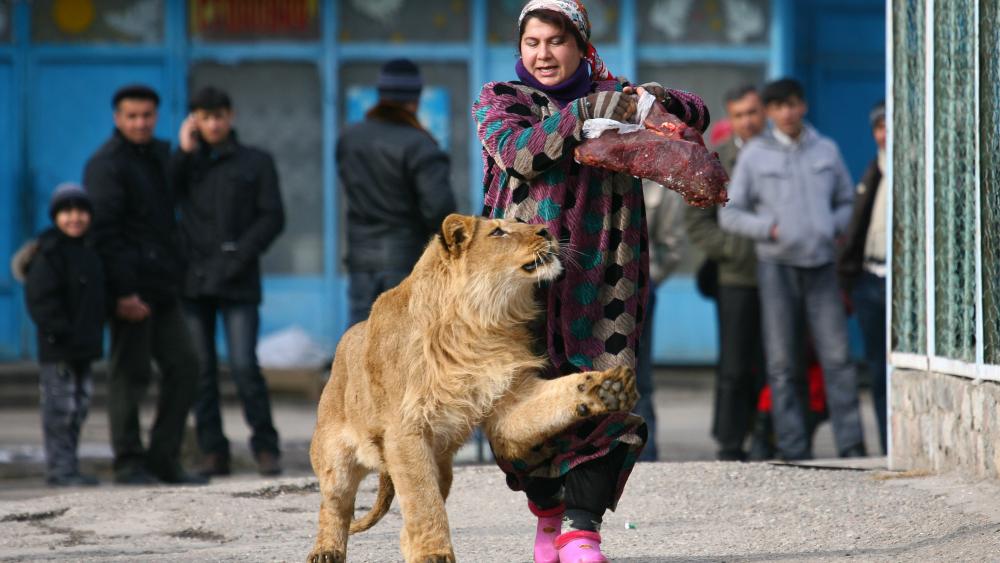 negara ini haramkan warganya rayakan tahun baru © 2016 berbagai sumber