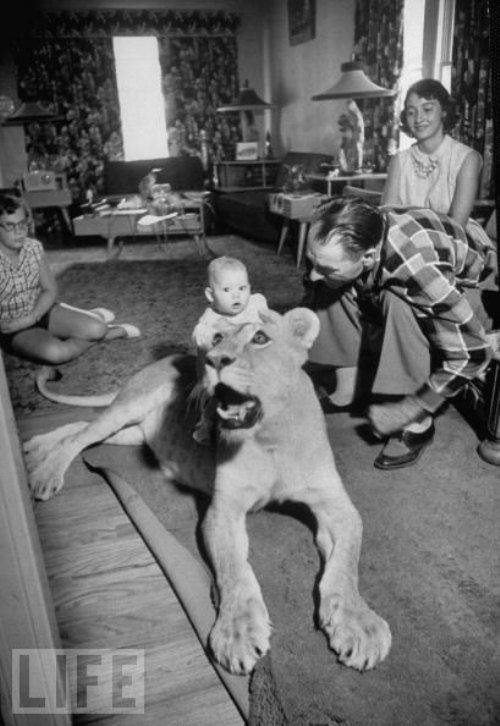 foto kelakuan orang zaman dulu ini ternyata nggak kalah absurd © 2017 boredninja