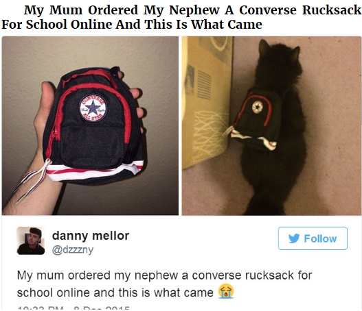 Online real © 2017 facebook.com/Ignore Rants