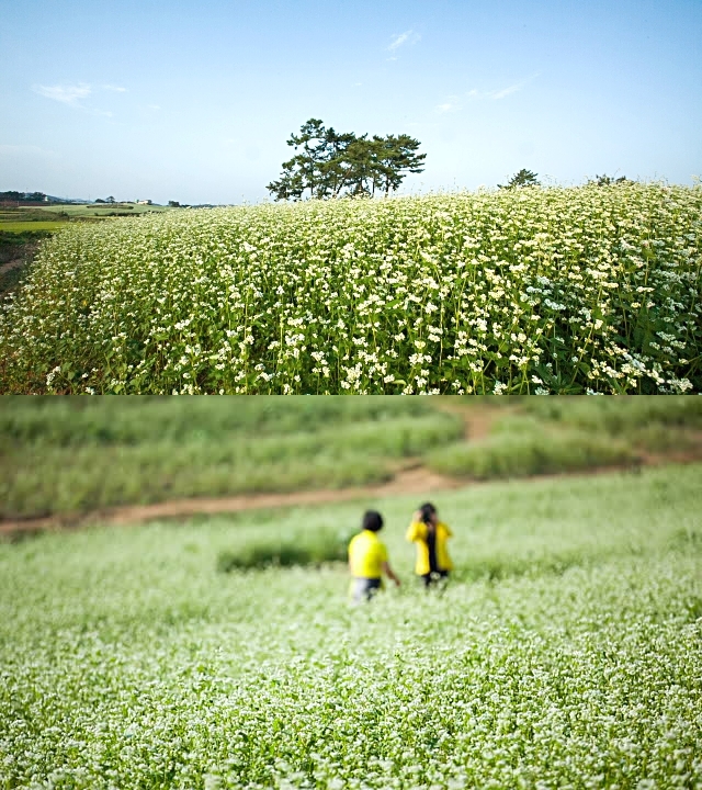 lokasi goblin © 2017 brilio.net