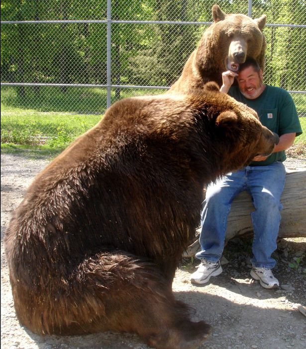 Jim Susan Jimbo © 2017 brilio.net