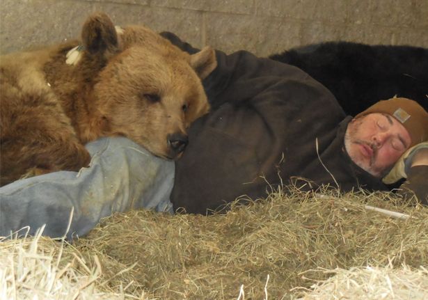 Jim Susan Jimbo © 2017 brilio.net