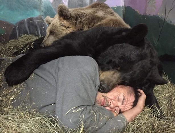 Pasangan ini dedikasikan hidupnya rawat 11 beruang liar, inspiratif