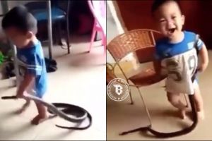 Ulah balita mainan ular ini bikin jantung deg-deg ser