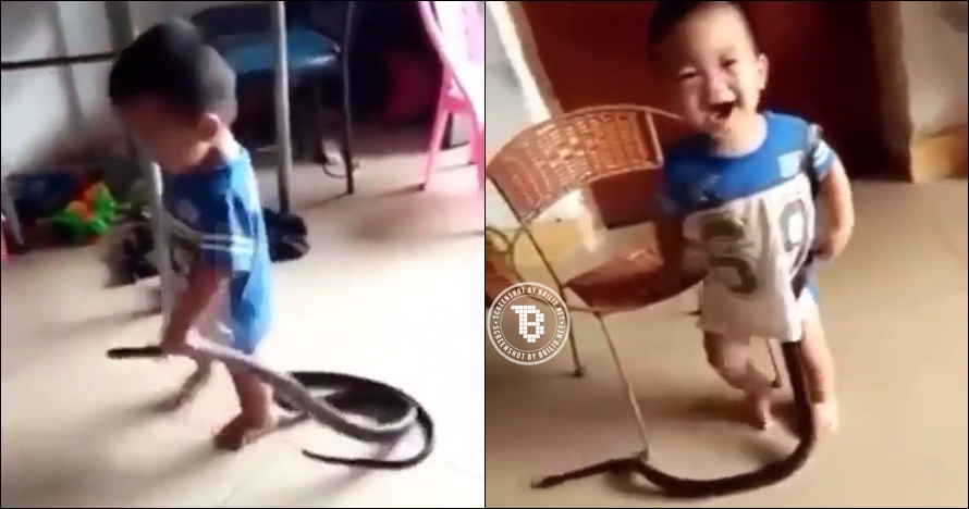 Ulah balita mainan ular ini bikin jantung deg-deg ser