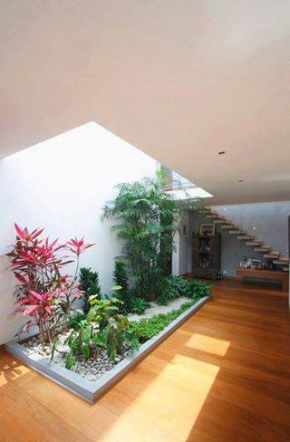 kebun indoor  DIY Ideas Hub