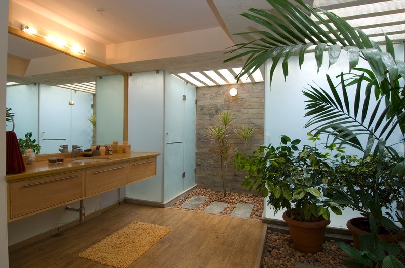 kebun indoor  DIY Ideas Hub