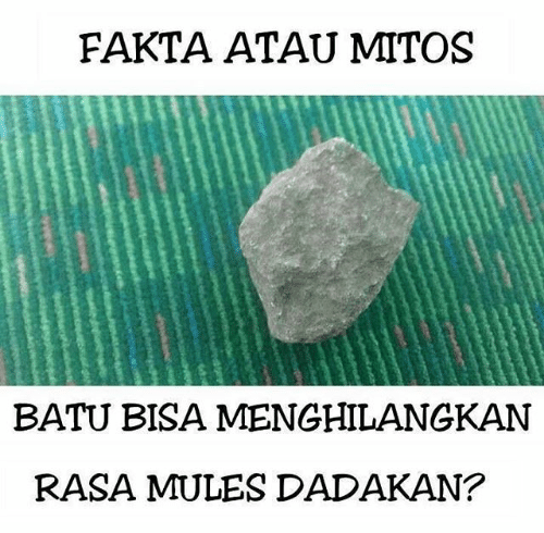 mitos atau fakta © 2017 Istimewa mitos atau fakta © 2017 Istimewa
