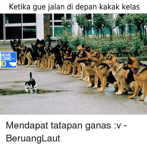 meme kakak kelas © 2017 Istimewa