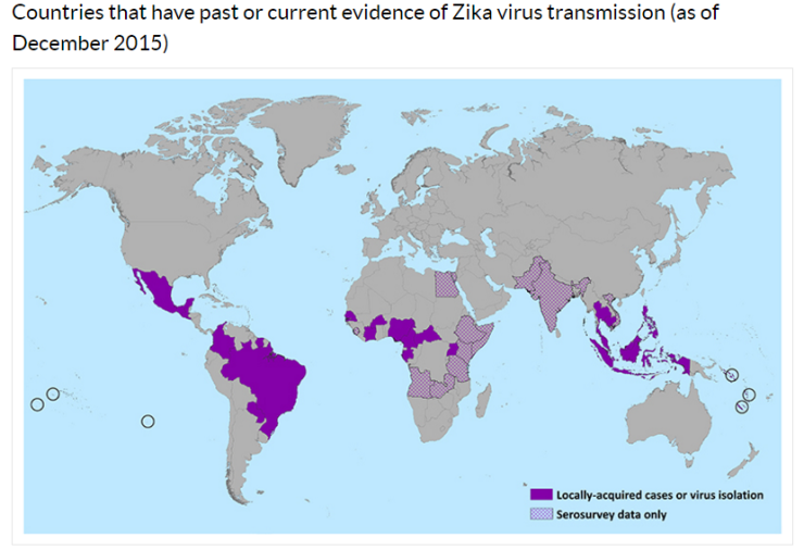 10 Fakta ini tunjukkan betapa ngerinya virus Zika