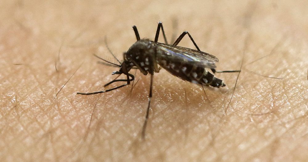 10 Fakta ini tunjukkan betapa ngerinya virus Zika