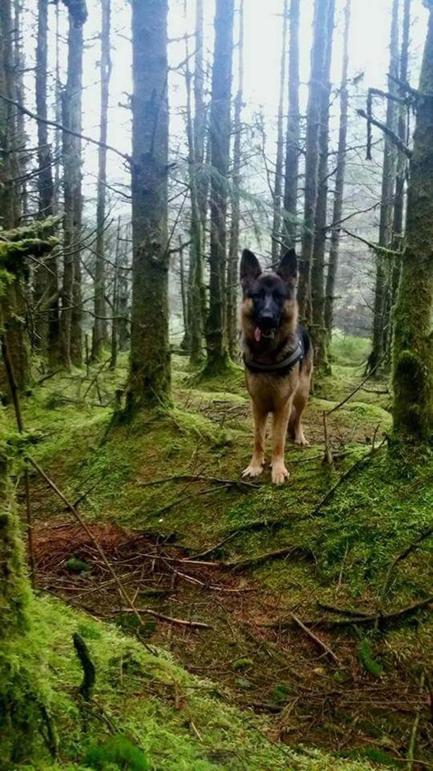 Jalan-jalan di hutan, orang ini tak sengaja potret sosok menyeramkan