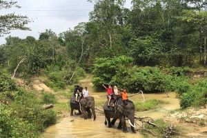 6 Objek wisata alam di Riau ini cocok bagi kamu yang suka berpetualang