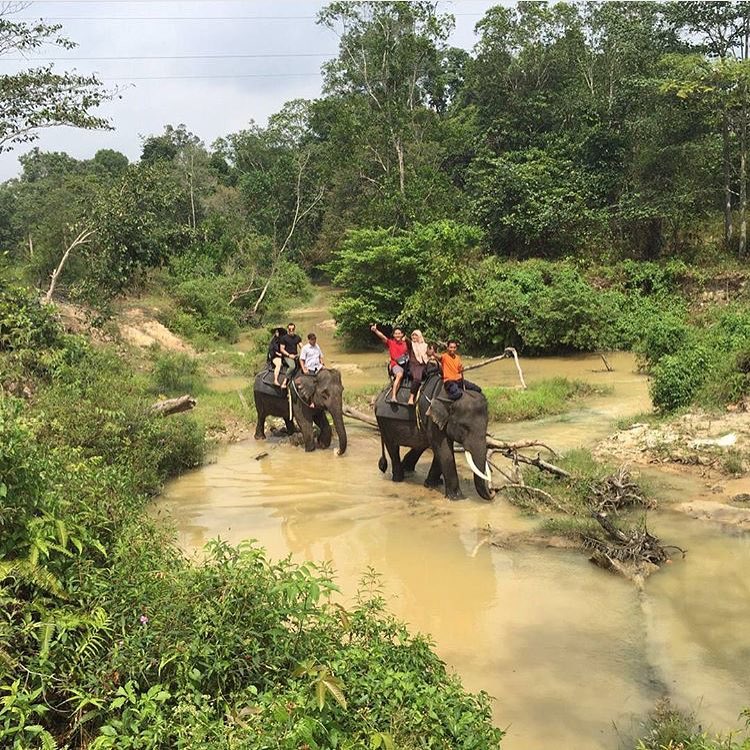 6 Objek wisata alam di Riau ini cocok bagi kamu yang suka berpetualang