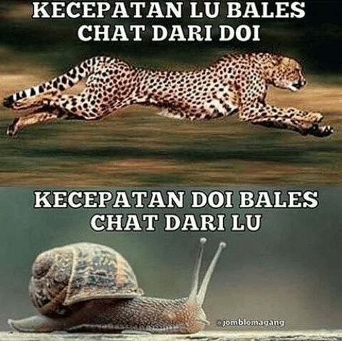 13 Meme lucu seputar 'chat' ini nyindir sekaligus bikin ketawa miris