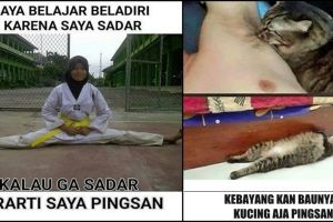 10 Meme pingsan ini lucunya bikin kamu terbangun dari galau panjangmu