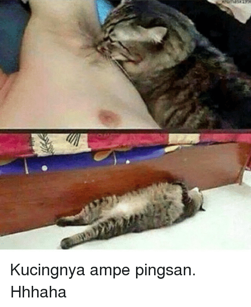 meme pingsan © 2017 Istimewa